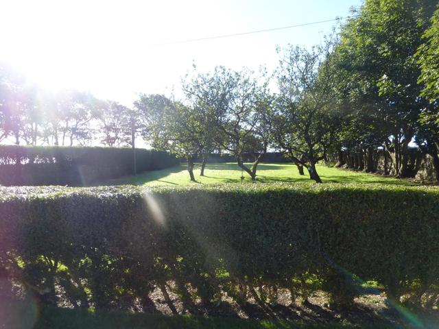  Image of 3 Bedroom Cottage  To Rent at Portlethen, Aberdeen, AB12 at Portlethen Aberdeenshire Aberdeenshire, AB12 4QP